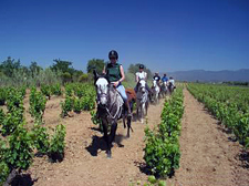 Spain-Catalonia-Wild Coast Wine Trail